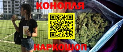 шишки Гатчина