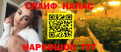 шишки Гатчина