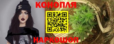 шишки Гатчина