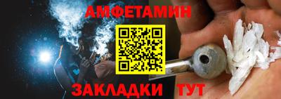 шишки Гатчина