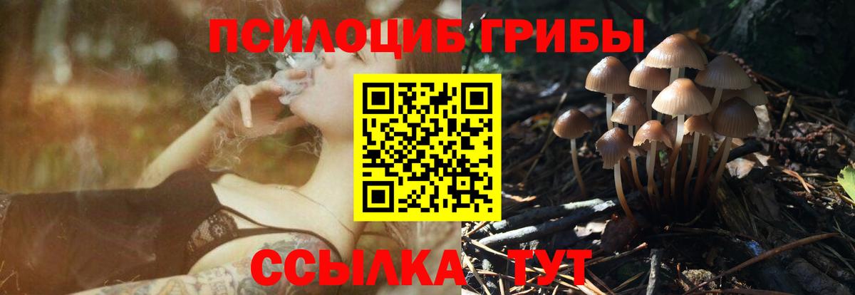Галлюциногенные грибы прущие грибы Губкинский